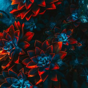 Caractère à travers le Petit Lenormand